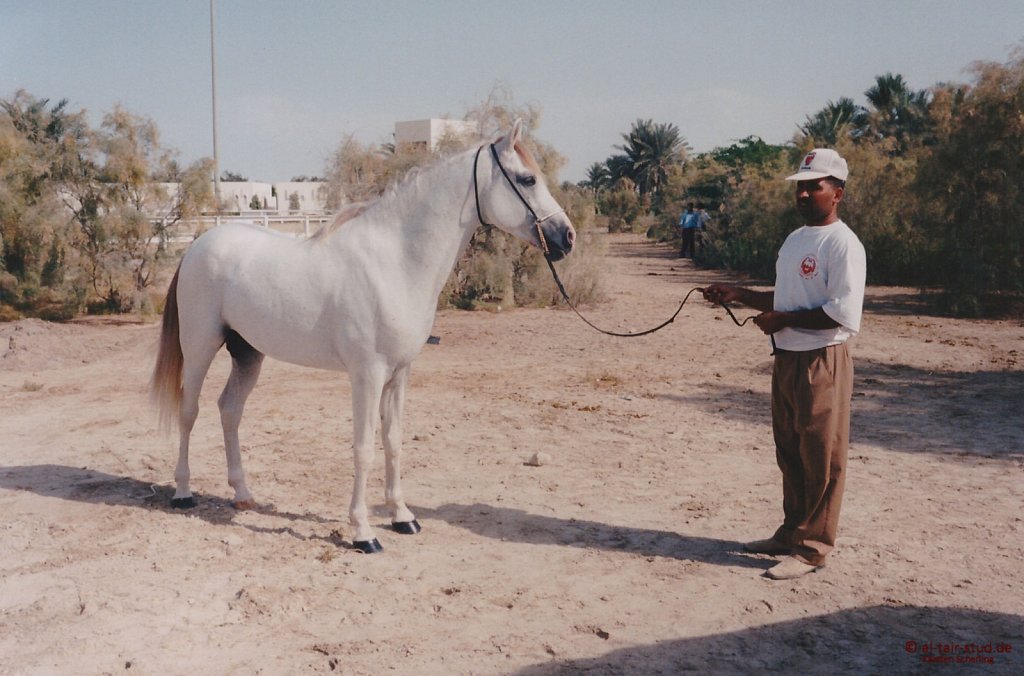 1996-WAHO-AbuDhabi-Bahrain-Day-02.jpg