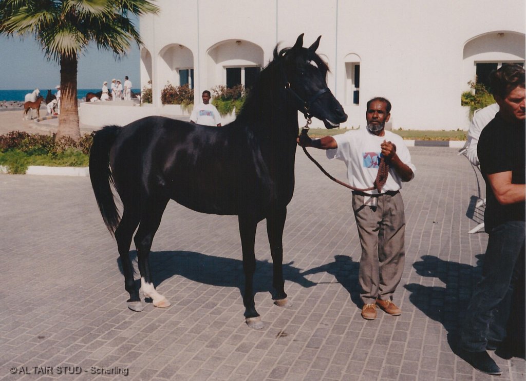 1996-WAHO-Abu-Dhabi-PS08.jpg