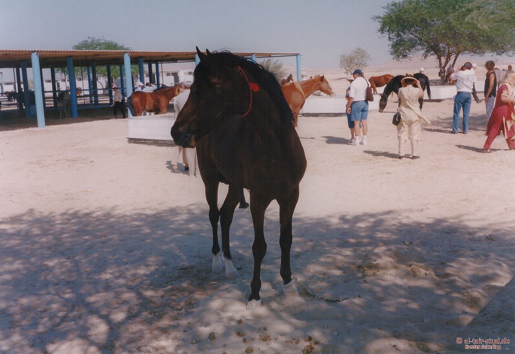 1998-WAHO-Bahrain-11.jpg