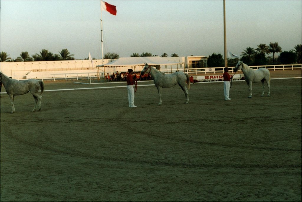 1998-WAHO-Bahrain-Archiv-Hansi-Heck-Melnyk-18.jpg