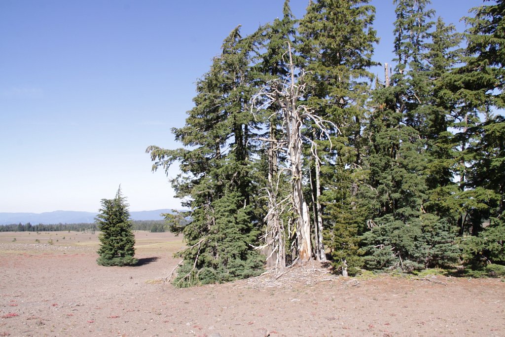 2009-08-31-crater-lake-IMG-9664.JPG