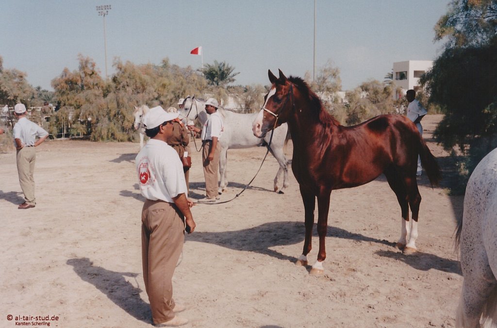 1996-WAHO-AbuDhabi-Bahrain-Day-03.jpg