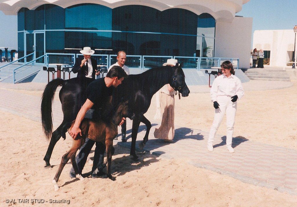 1996 Nov 16 - Abu Dhabi - In memory of Patrick Swayze