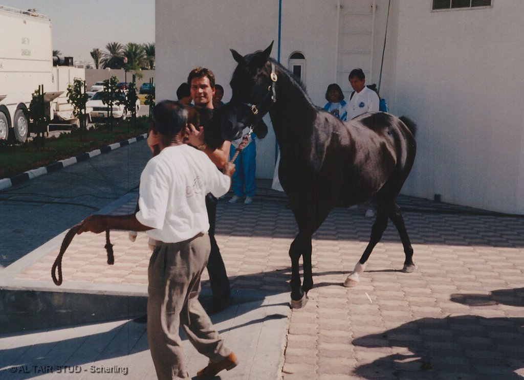1996-WAHO-Abu-Dhabi-PS05.jpg