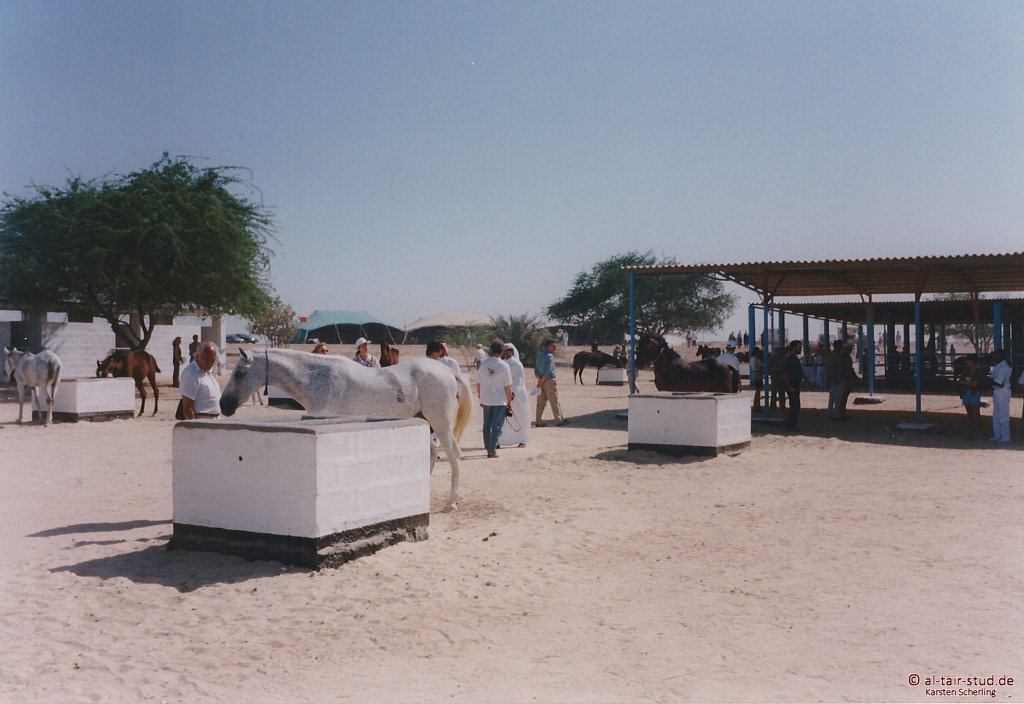1998-WAHO-Bahrain-06.jpg