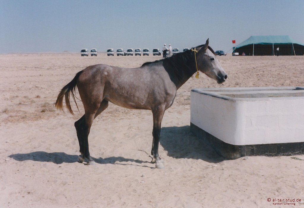1998-WAHO-Bahrain-10.jpg