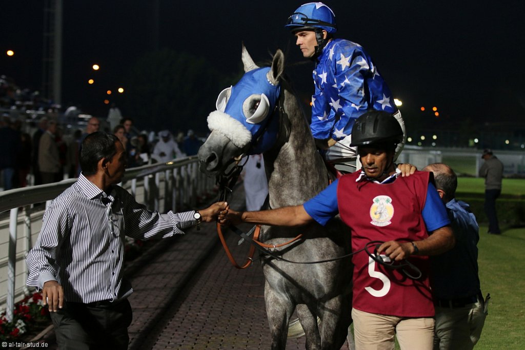 2014 Nov 12 - Arabian Horse Race