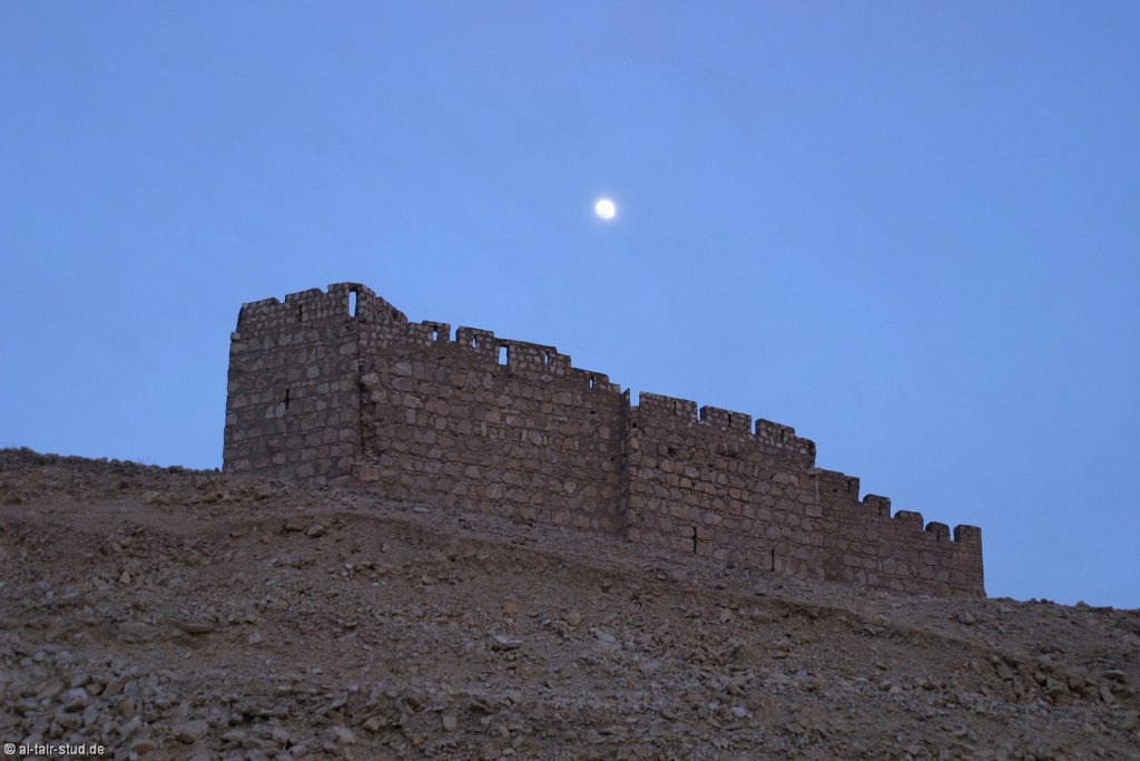2007 April 29 Tour A1 Palmyra Citadel
