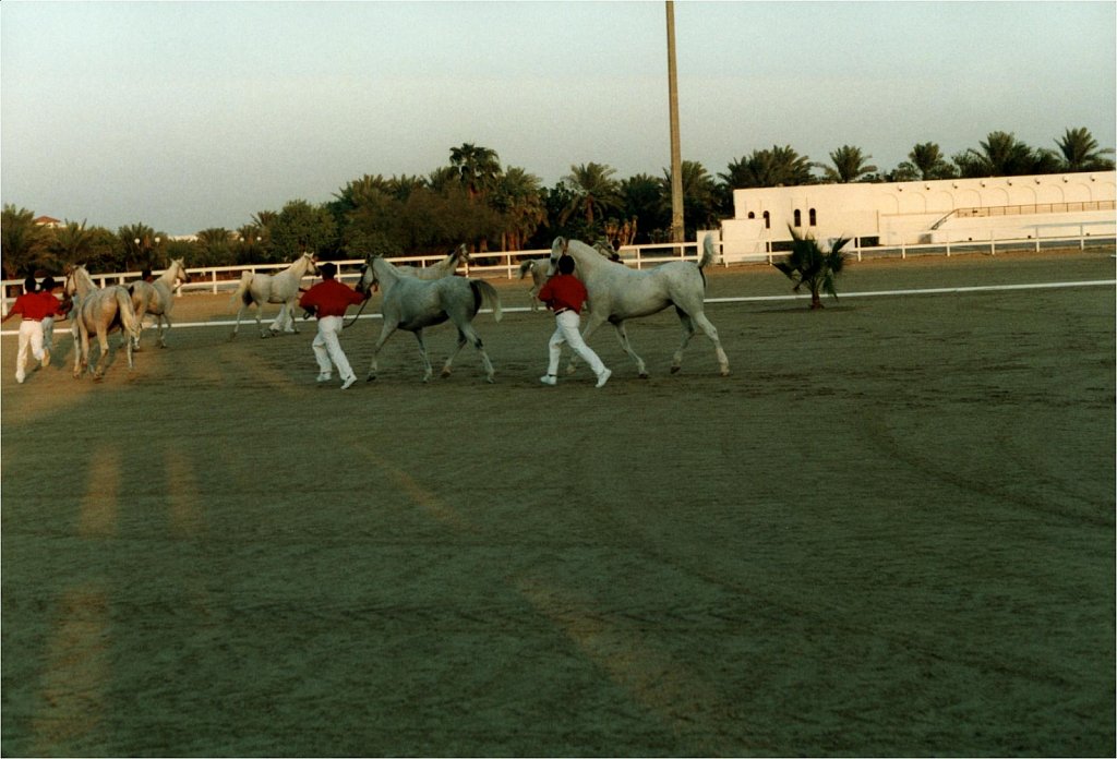 1998-WAHO-Bahrain-Archiv-Hansi-Heck-Melnyk-19.jpg