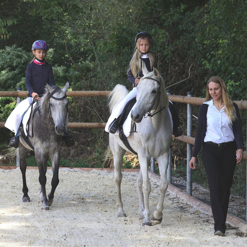 2025-09-14-Asil-Club-Pferde-R5139784.JPG