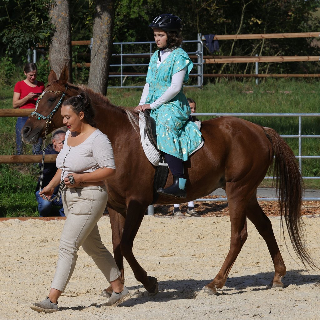 2025-09-14-Asil-Club-Pferde-R5139872.JPG