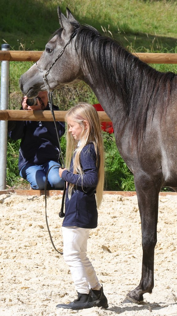 2025-09-14-Asil-Club-Pferde-R5140309.JPG
